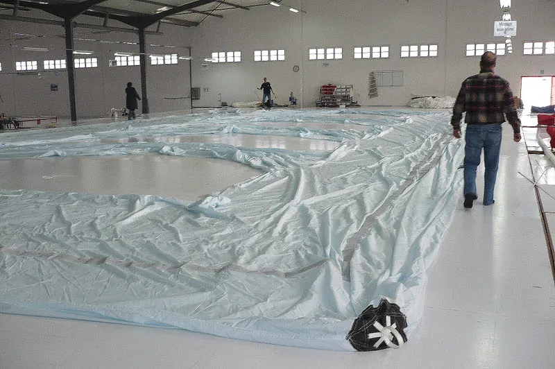 Une ponge apres la pluie Place au jeune